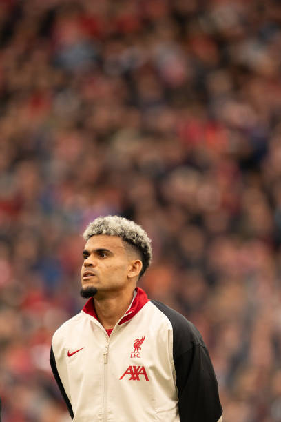 上以稳健的 上以稳健的